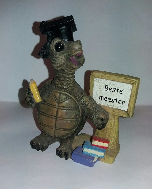 schildpad beeldje - Beste Meester